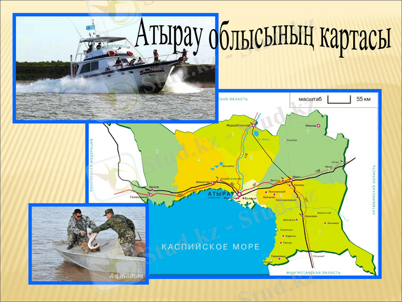 Slide 6