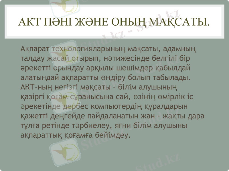 Slide 8