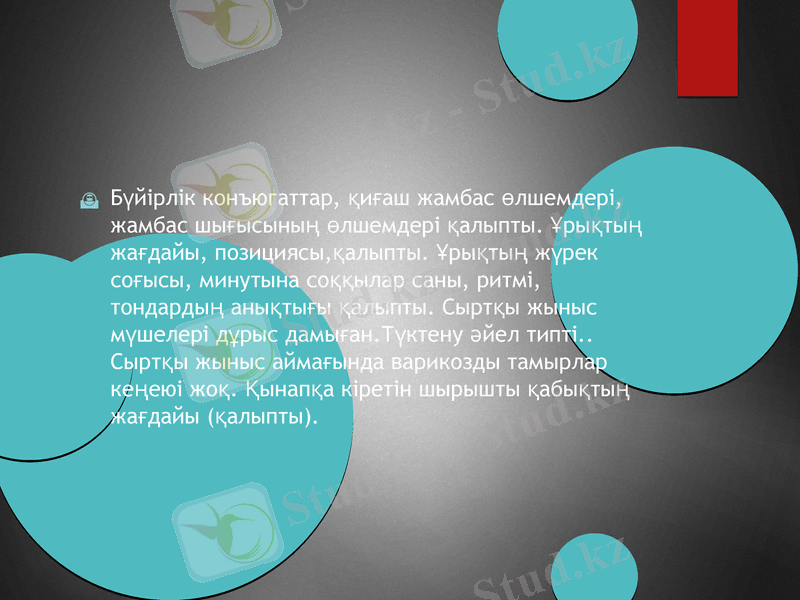 Slide 13