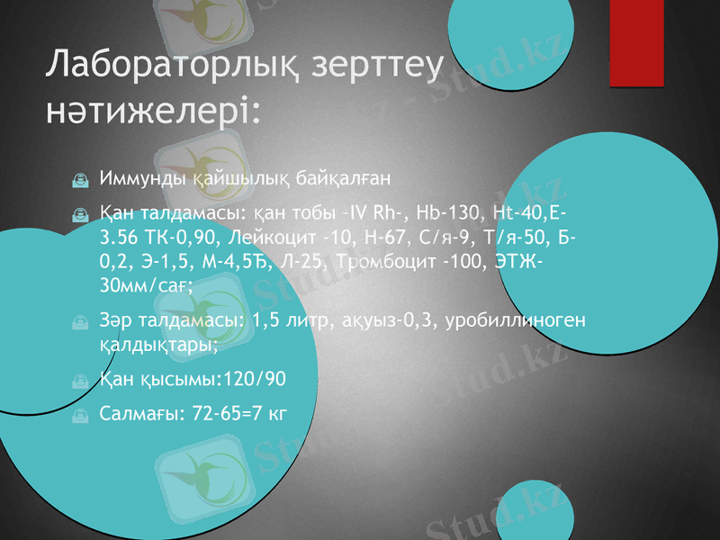 Slide 6