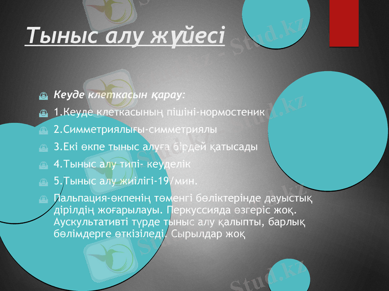 Slide 8