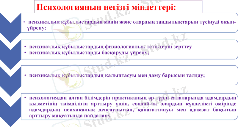 Slide 13