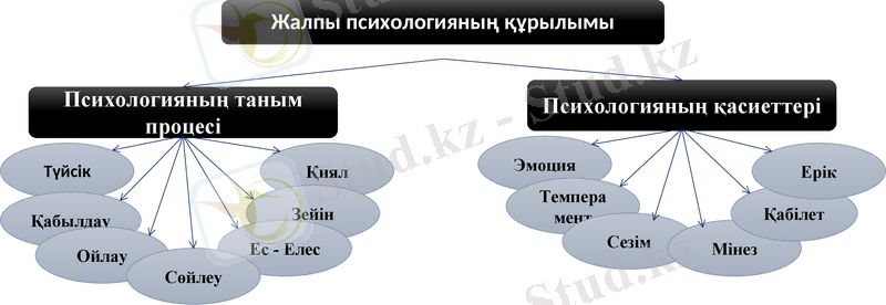 Slide 20