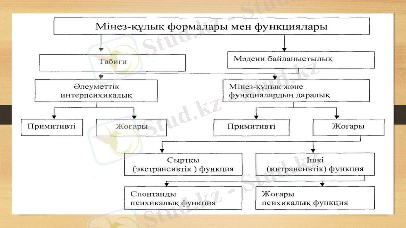 Slide 8