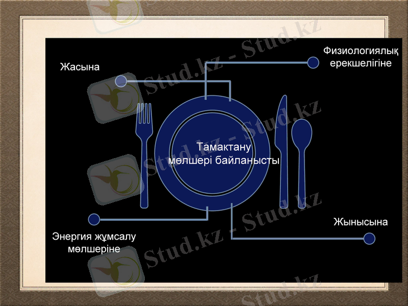 Slide 13