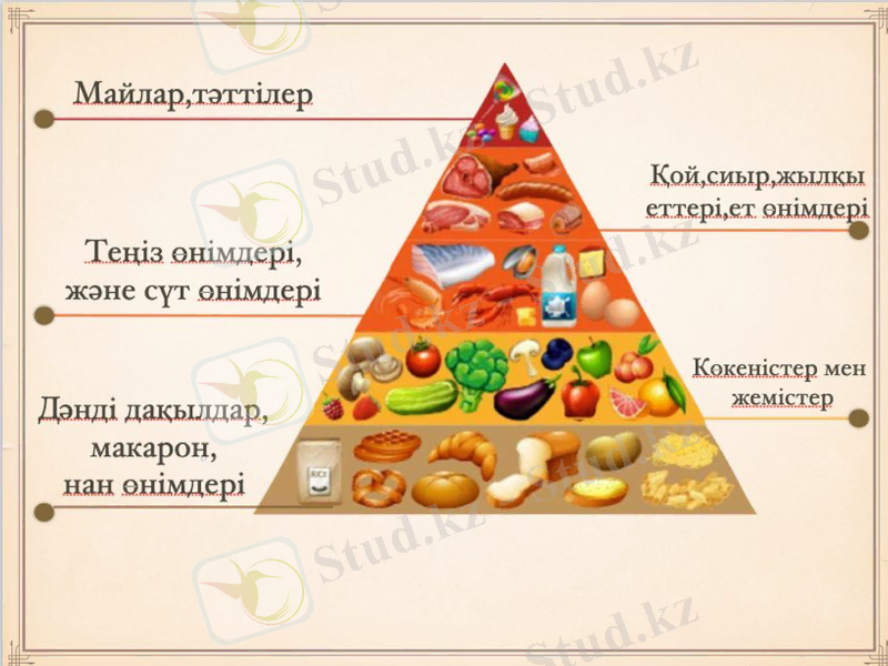 Slide 14