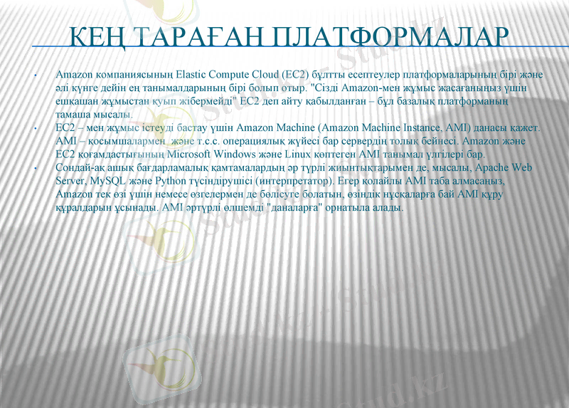 Slide 3