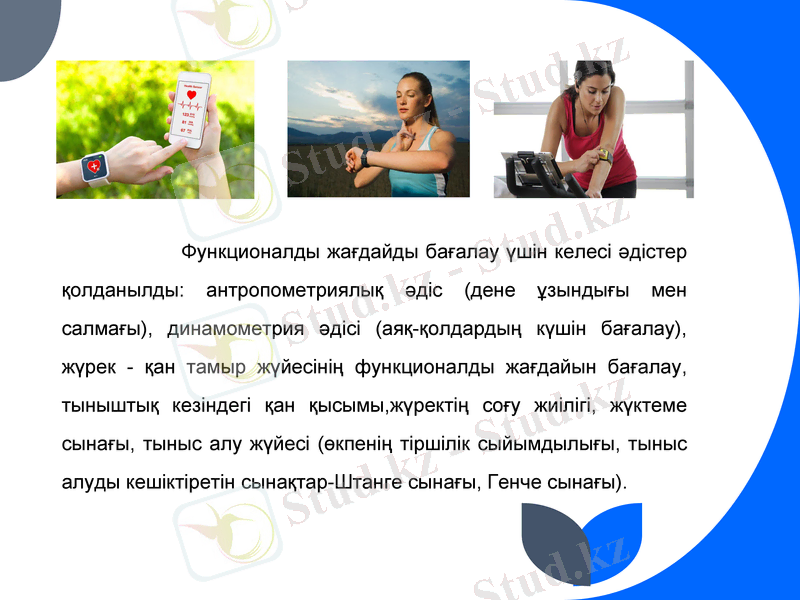 Slide 7
