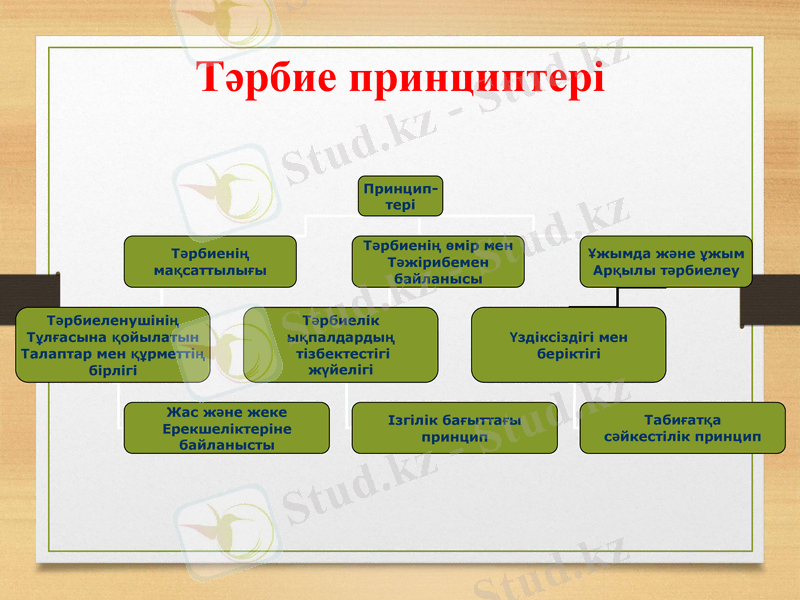 Slide 9