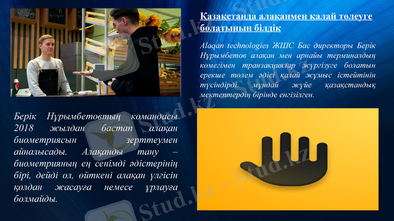 Slide 7