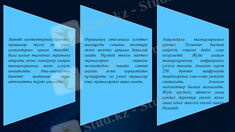 Slide 8