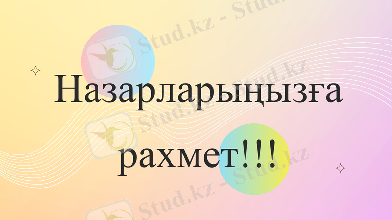 Slide 12
