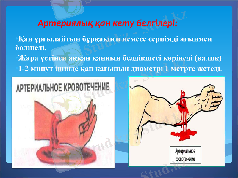 Slide 6
