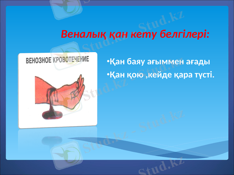 Slide 7