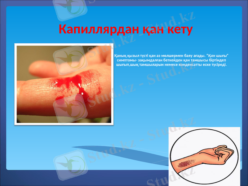 Slide 8
