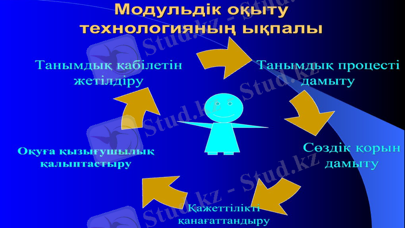 Slide 8