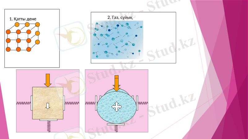 Slide 11
