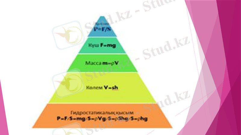 Slide 13