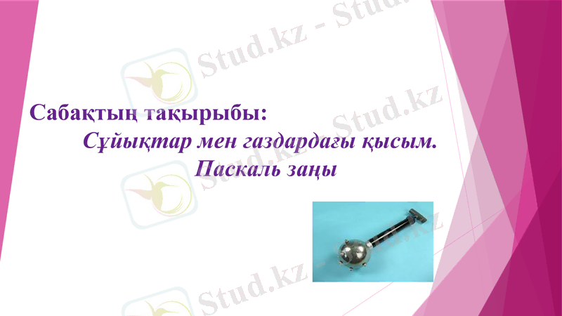 Slide 7
