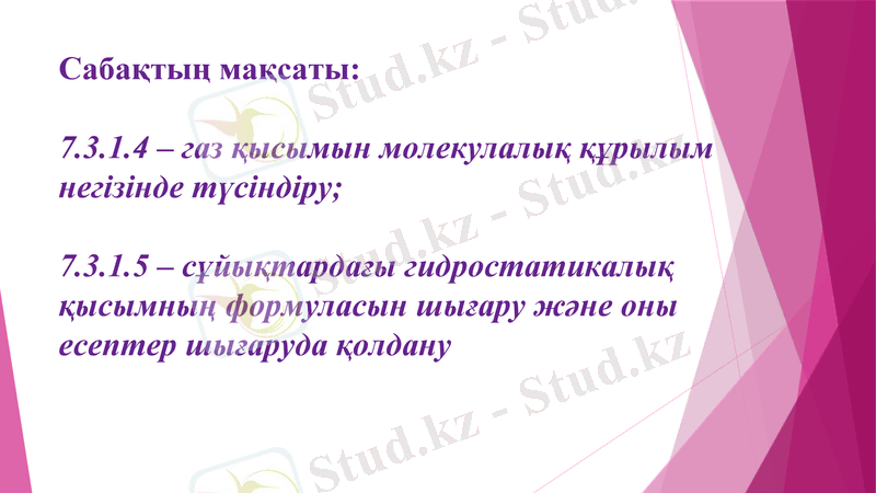 Slide 8