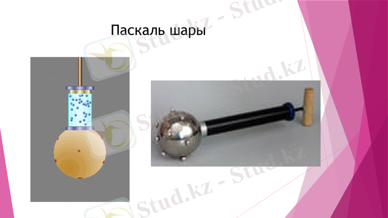 Slide 9