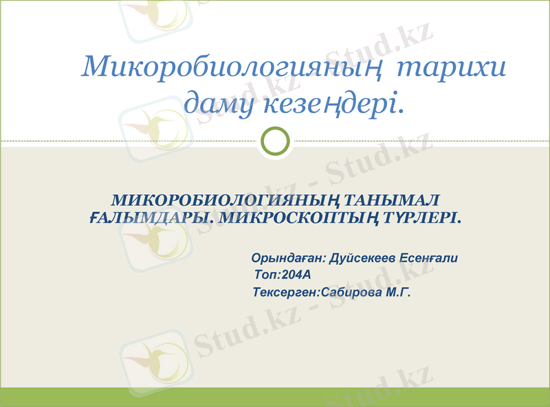 Slide 1