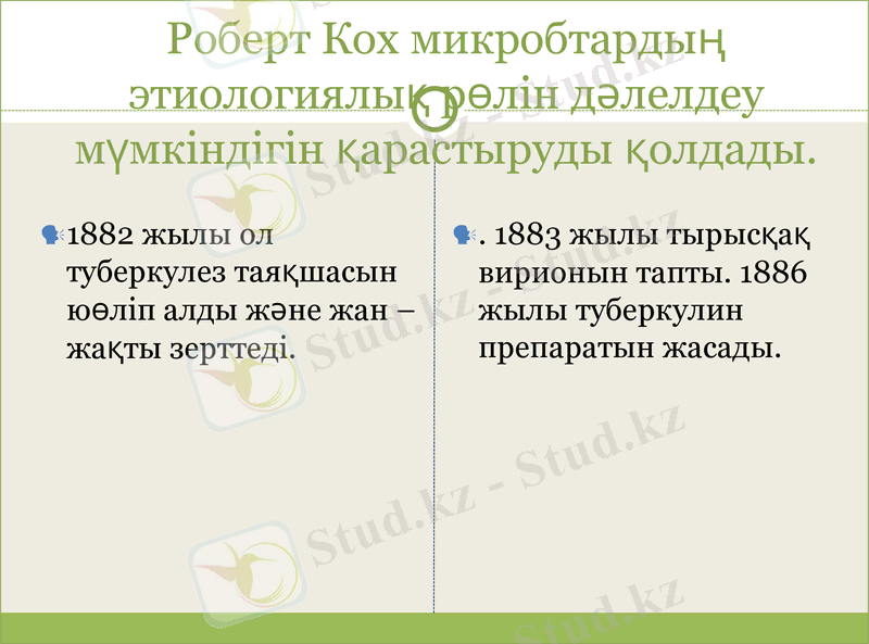 Slide 10