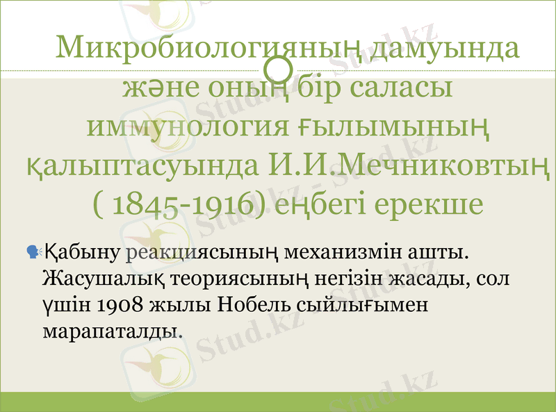 Slide 12