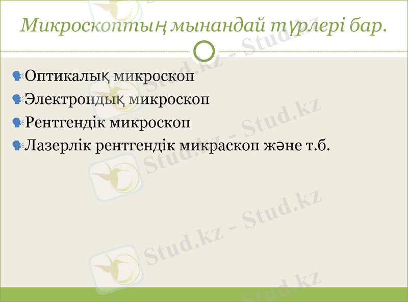 Slide 13