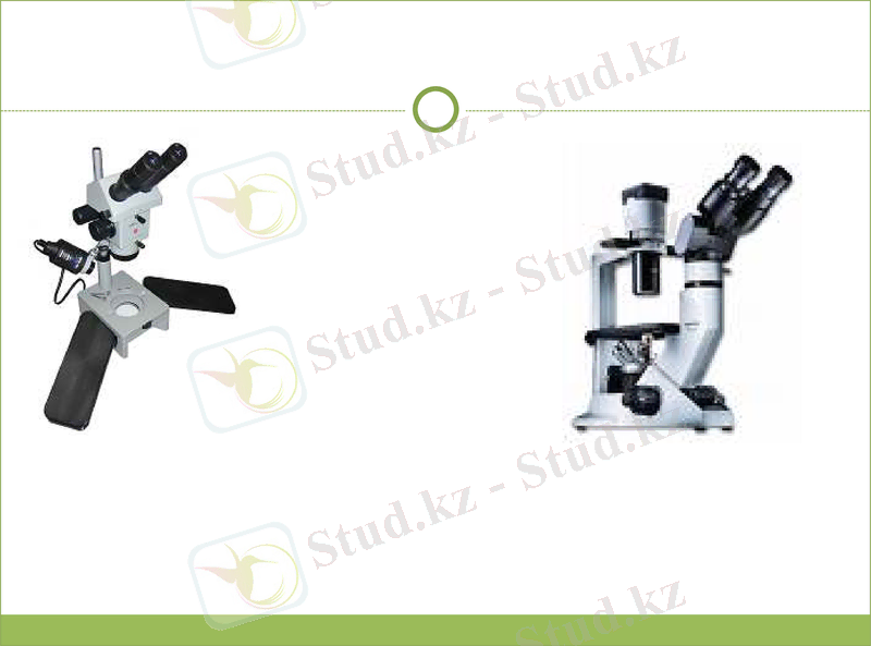 Slide 14