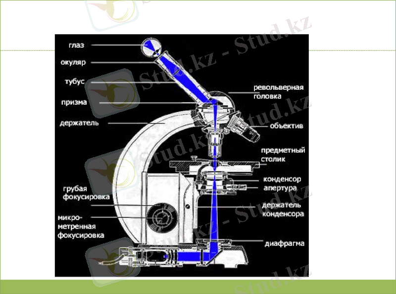 Slide 17