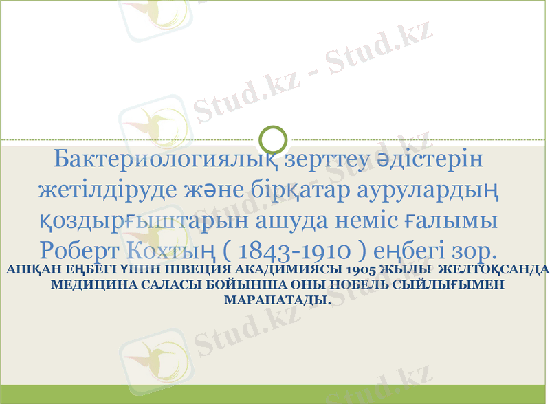 Slide 9