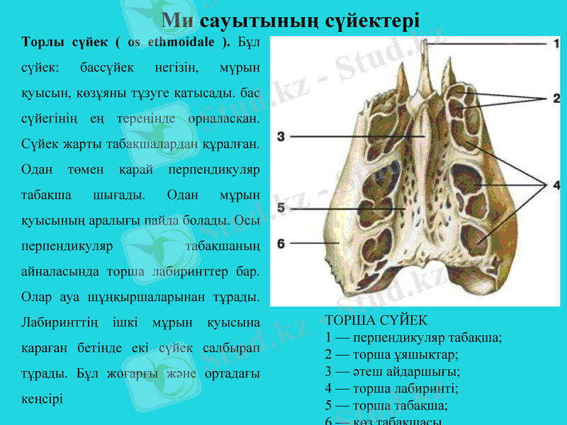 Slide 10