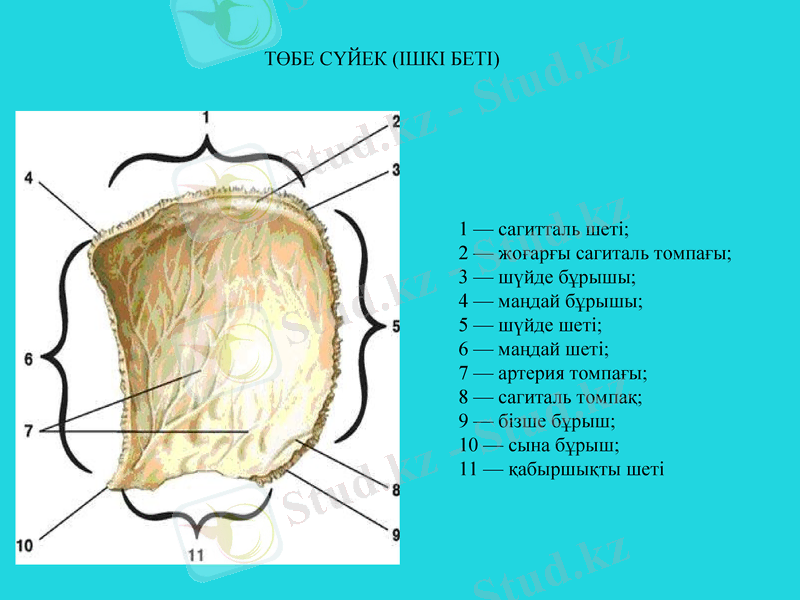Slide 15