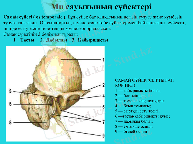 Slide 16