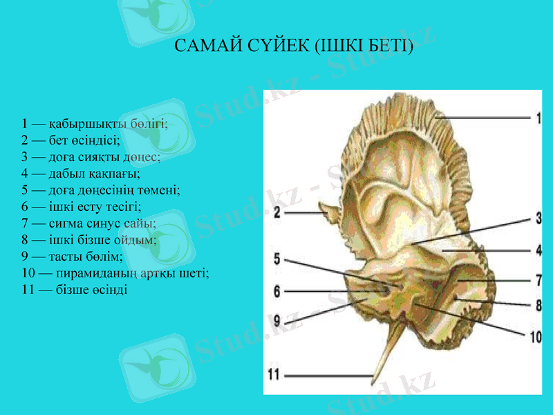 Slide 17
