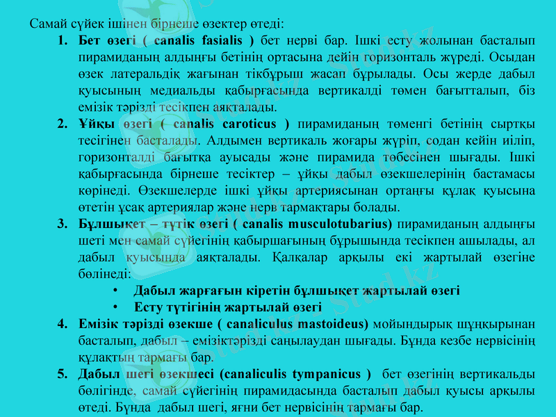 Slide 18