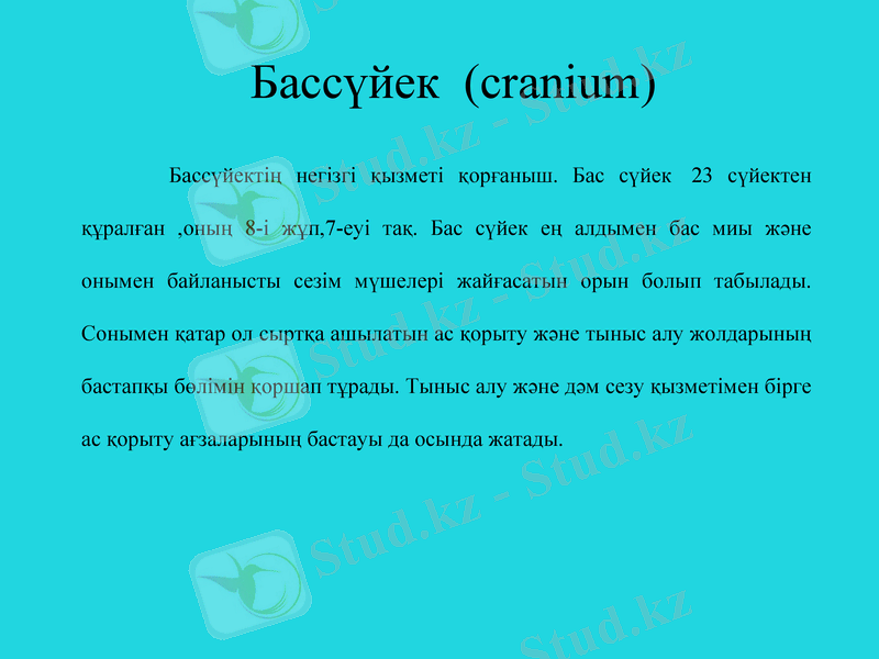 Slide 2