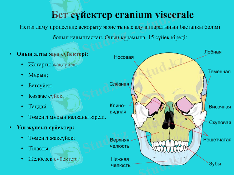Slide 21