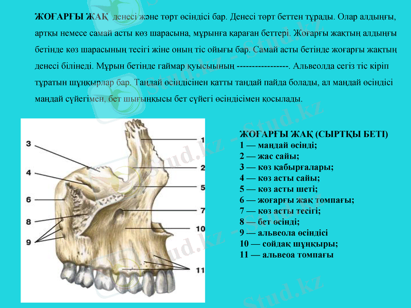 Slide 22