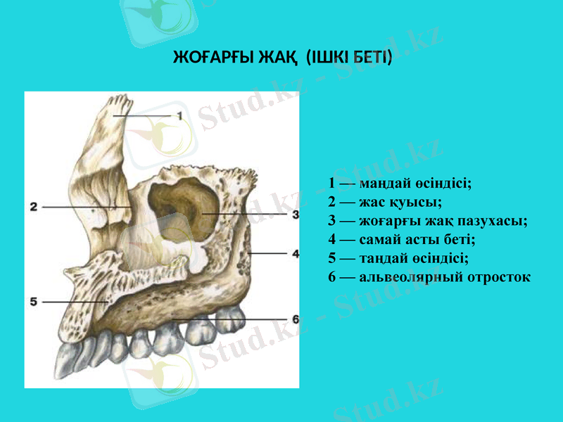 Slide 23