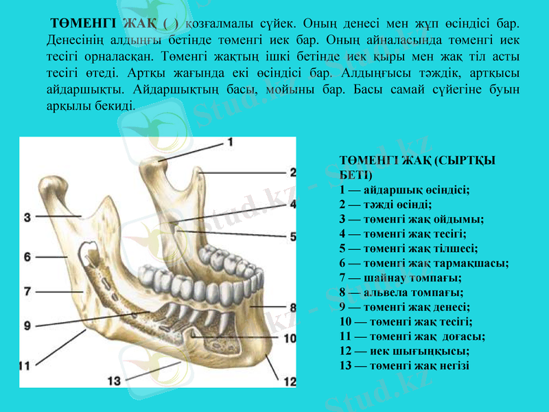 Slide 25