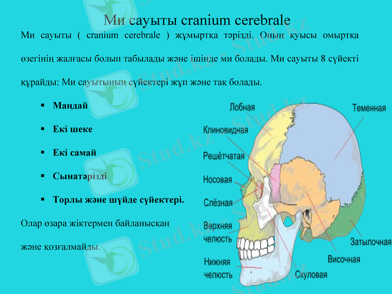 Slide 5