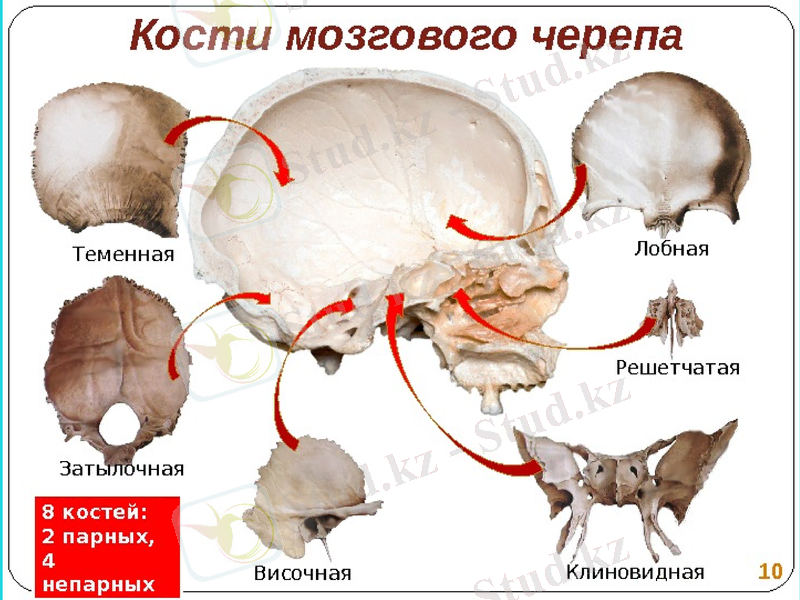 Slide 6