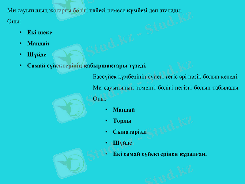 Slide 7