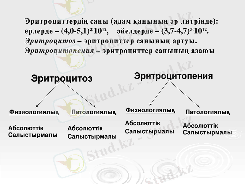 Slide 10