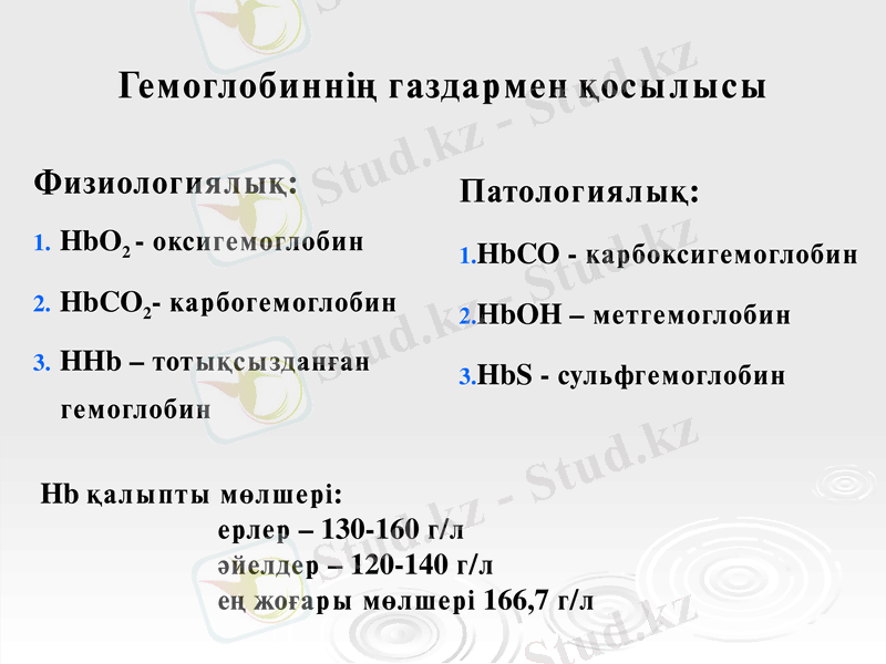 Slide 13