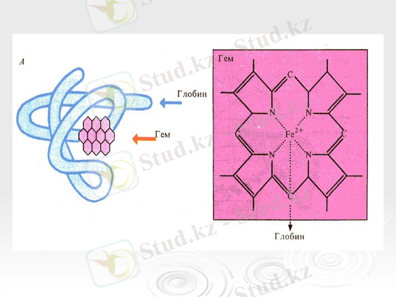 Slide 14