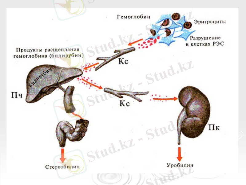 Slide 16