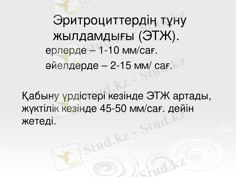 Slide 17